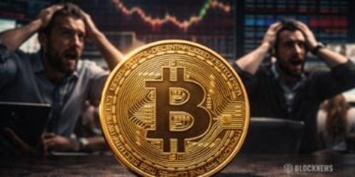 比特币巨鲸逆势增持：散户抛售潮中大额钱包持仓量创四个月新高