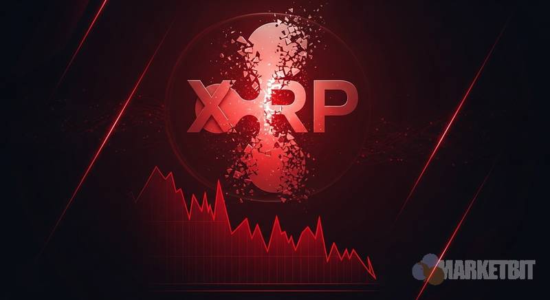 XRP ETF资金流出引发市场关注 2026年3月6日数据解读