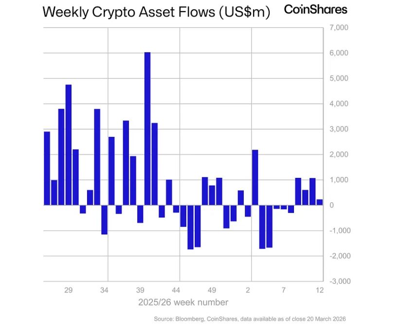 比特币价格走势受政策预期主导 资金流动呈现分化态势