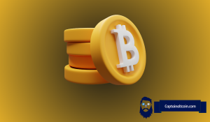 比特币连跌六个月或预示周期转折点