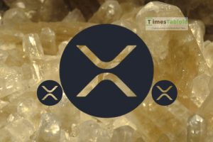 XRP市场情绪因高管言论再度分化