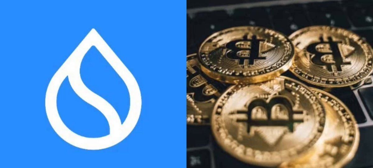 Sui网络推出Hashi测试网释放比特币原生流动性