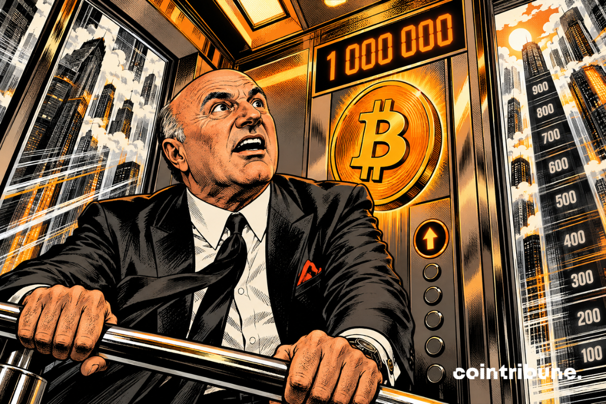 凯文·奥莱利：比特币有望达到100万美元