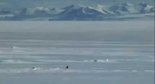 尼采企鹅引爆币圈：Solana Meme币能否再现辉煌？