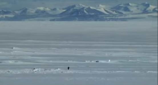 情绪meme与特朗普共振：尼采企鹅币一周暴涨6000倍