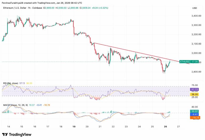 以太坊价格预测：价格从长期支撑位反弹，网络活动激增