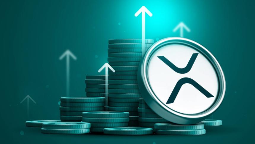 MD Puts 100% Into XRP