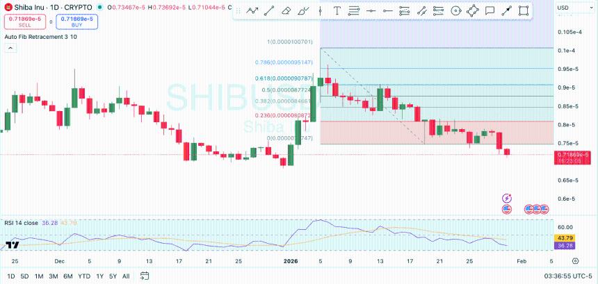 Shiba Inu Price Analysis