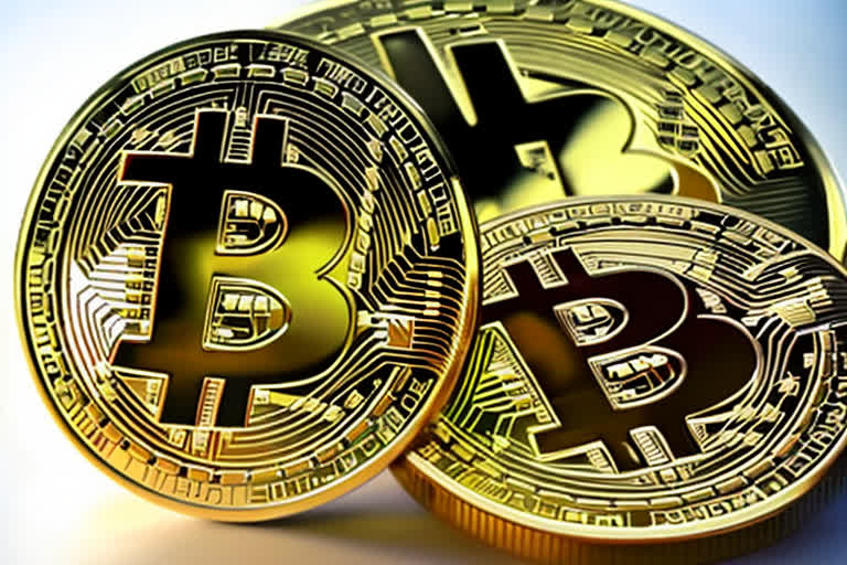  SHIB高管认为熊市已至，但其中另有隐情。 