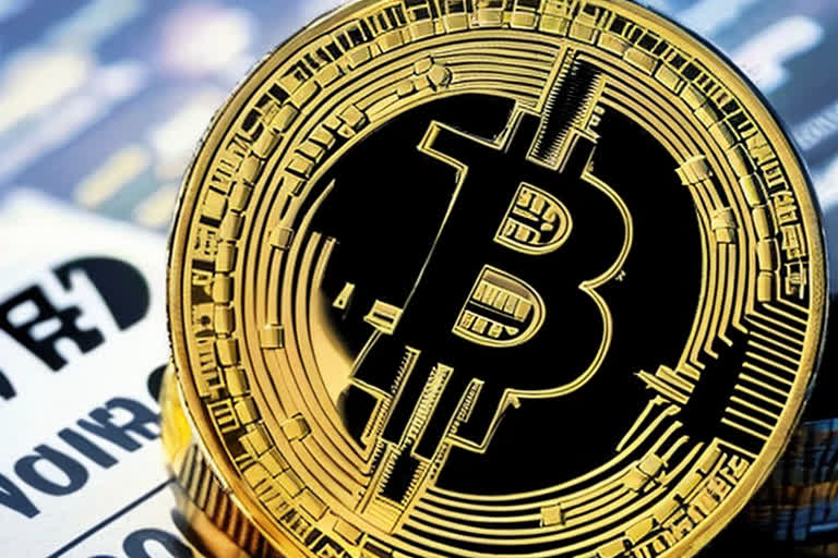  SHIB高管认为熊市已至，但其中另有隐情。 