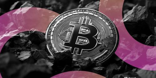比特币交易员预测：价格下跌至6.9万美元与反弹至10万美元的可能性几乎均等