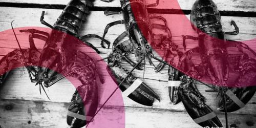 人工智能社交网络催生龙虾主题宗教“蜕变教堂”