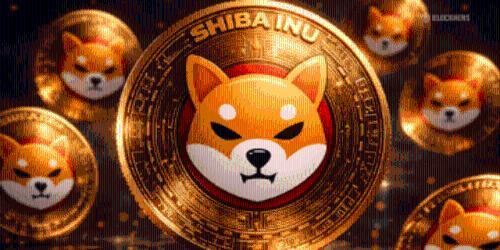 Shiba Inu：是等待爆发还是渐趋沉寂？