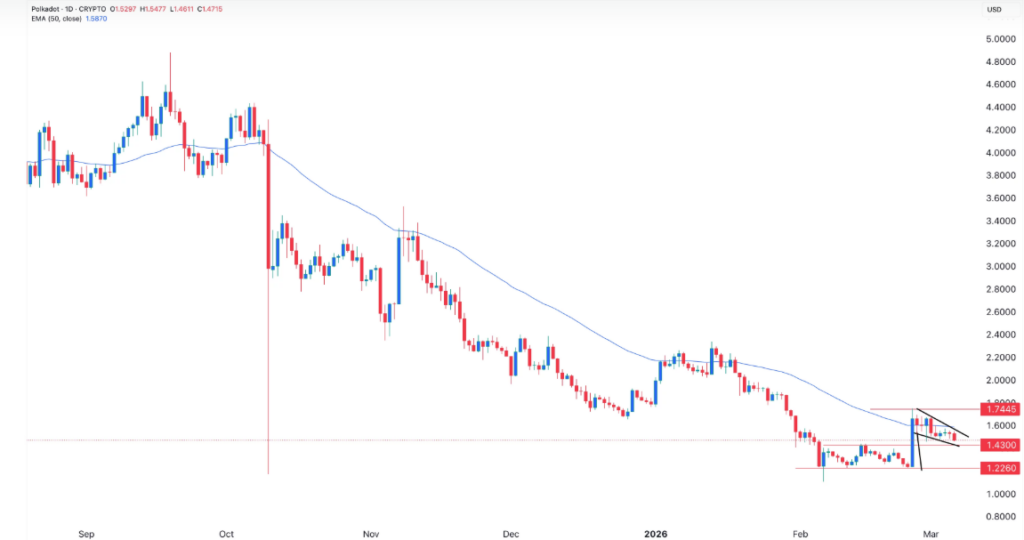 波卡币价格承压待观察 21Shares首只DOT ETF上线