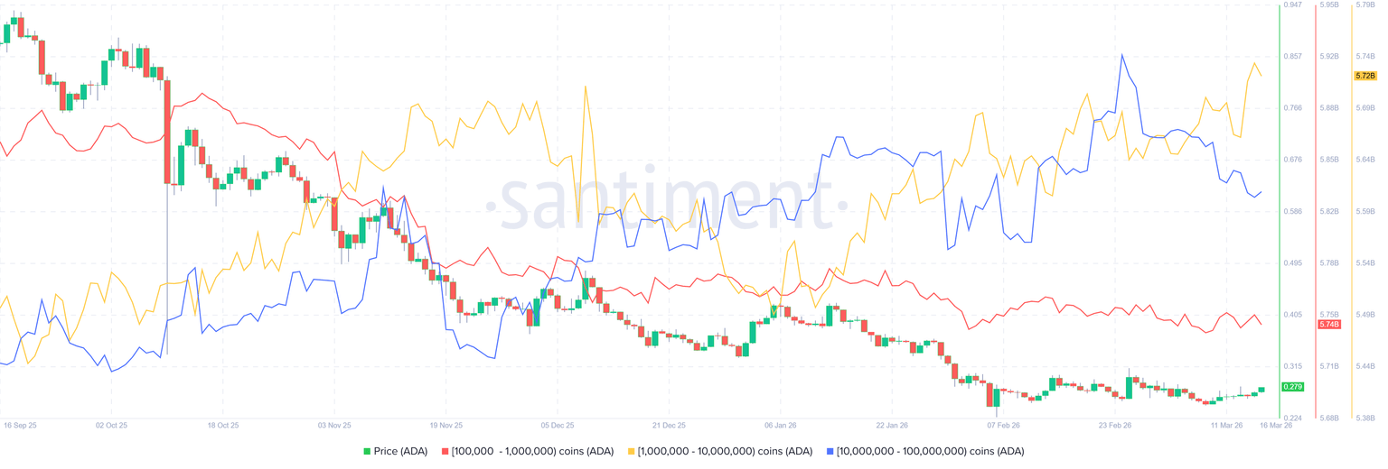 卡尔达诺价格突破关键阻力位 大户增持与期货数据释放积极信号