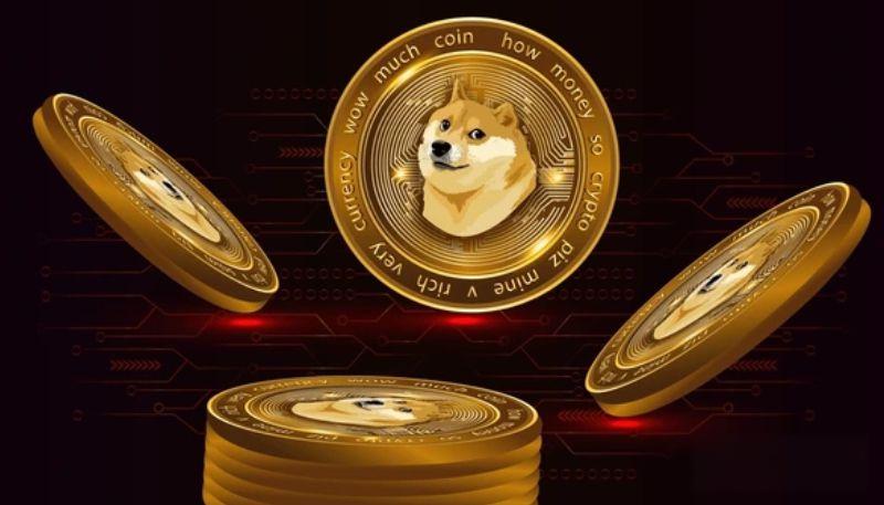 比特币价格走势分化：三大加密资产表现迥异