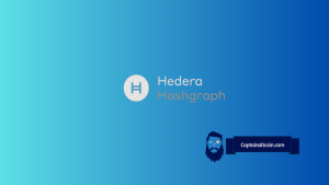 Hedera与Stellar投资对比：2030年谁更值得押注？