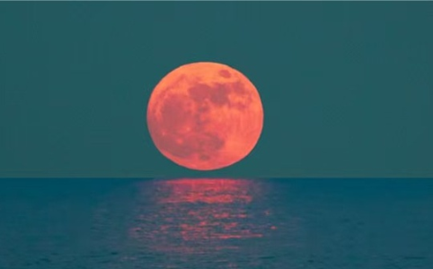 石油美元背后的全球分工体系变迁