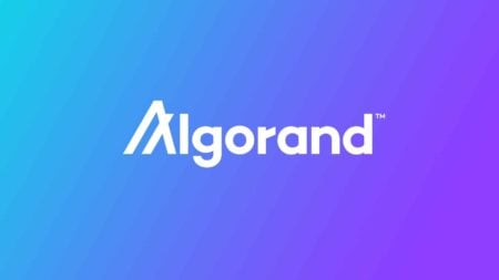 Algorand裁员四分之一 市场低迷下行业持续调整