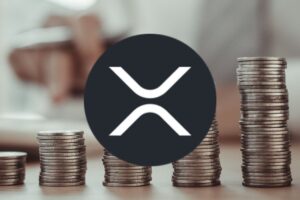 XRP投资者如何应对监管不确定性下的长期持有策略