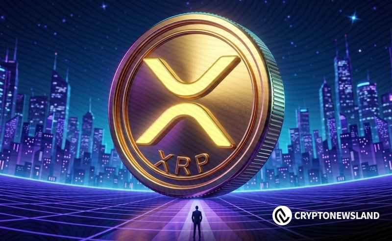 XRP链上活动激增与价格滞涨并存