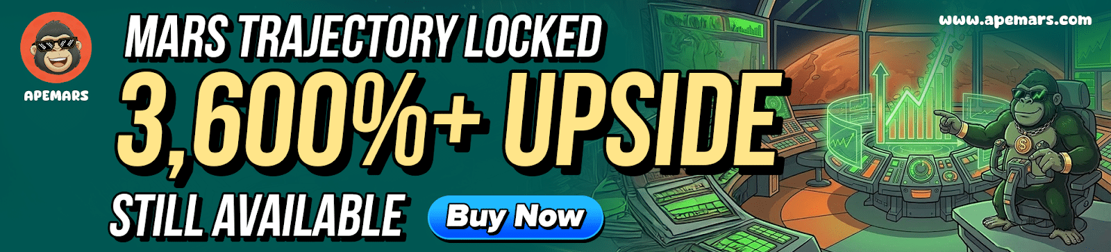 把握加密市场新机遇：从预售到成熟网络的多元布局