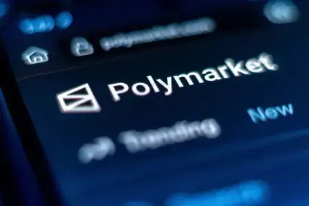 Polymarket用户画像揭秘：2%高频交易者主导90%成交量