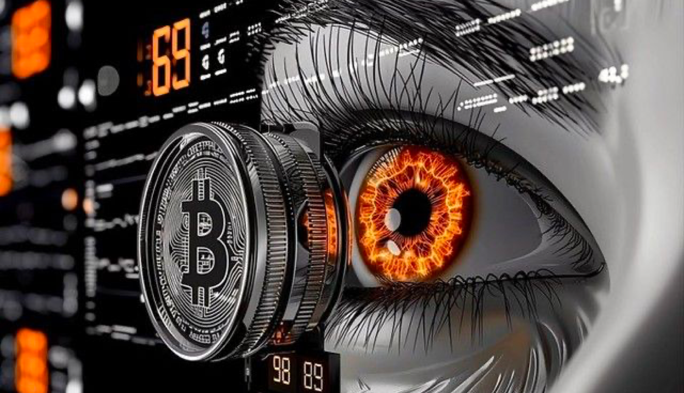 ADA巨鲸持仓创四个月新高 价格低迷下积累趋势持续