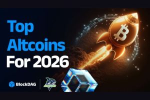 比特币价格走势之外：四大加密项目价值解析