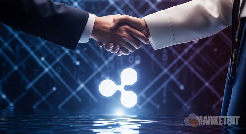 涟漪与教保生命合作背后的机构链路信号