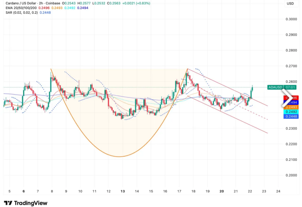 ADA杯柄形态显现突破在即 交易量与持仓同步上升