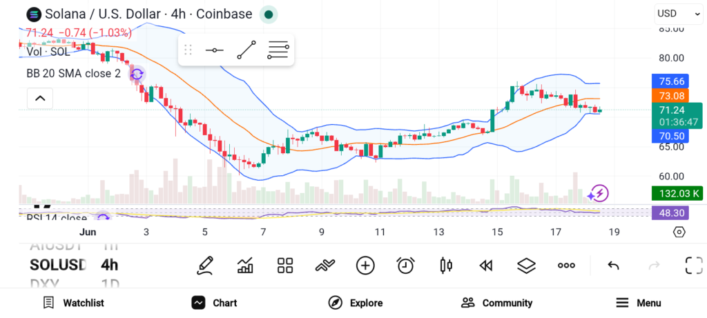 Solana、Polygon与Toncoin引领山寨币动能上升