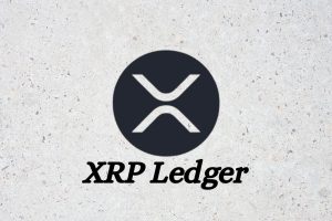 SpaceX在13秒内通过XRP Ledger转换为黄金，以下是其发生过程